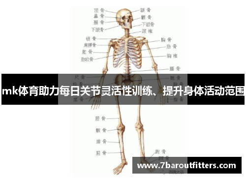 mk体育助力每日关节灵活性训练、提升身体活动范围